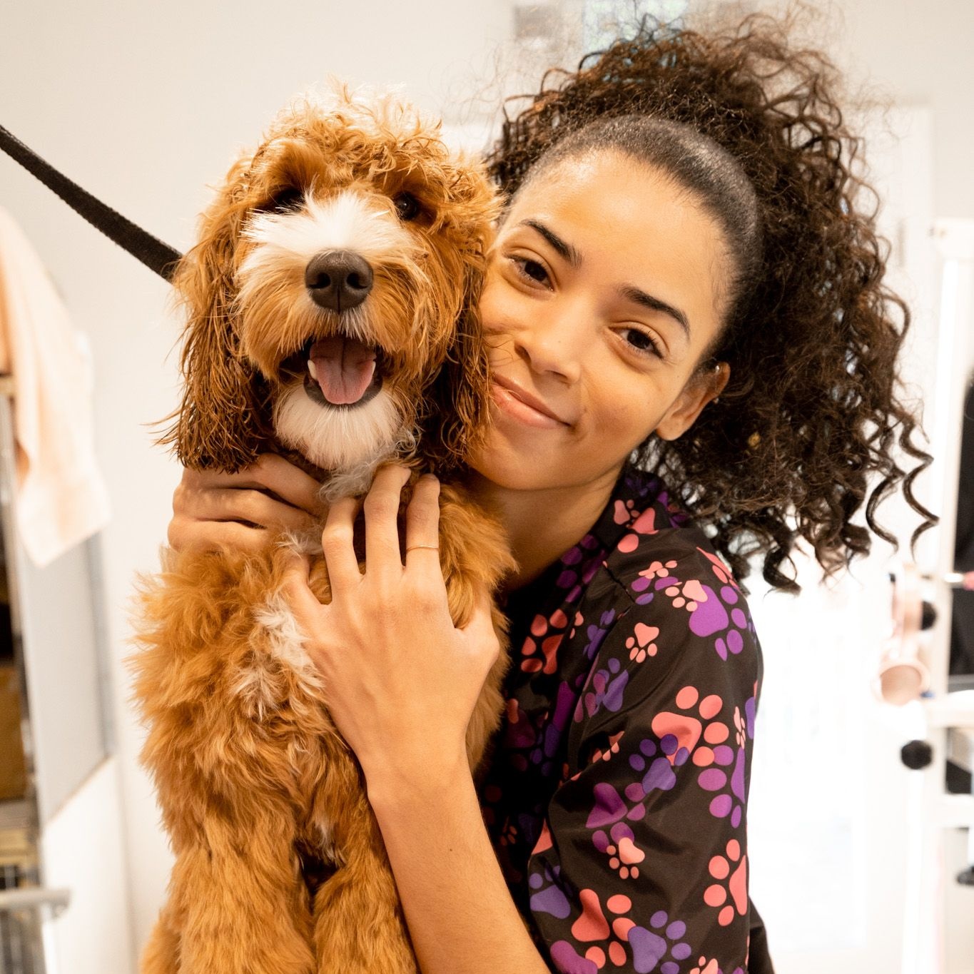 Breathtaking West Hollywood Dog Daycare Background Digital Art Breathtaking West Hollywood Dog Daycare Background Digital Art